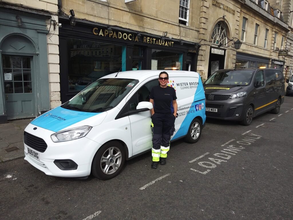 professional cleaning service